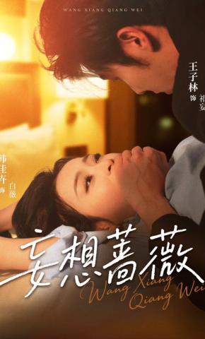 短剧妄想蔷薇海报