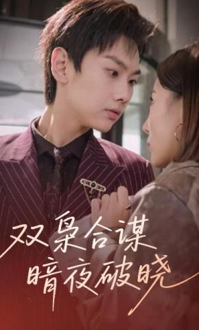 短剧双枭合谋暗夜破晓海报