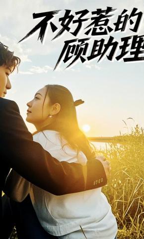 短剧《不好惹的顾助理》海报