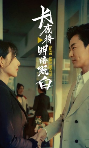 短剧《长夜将明暗既白》海报