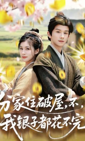 短剧分家住破屋，不，我银子都花不完海报