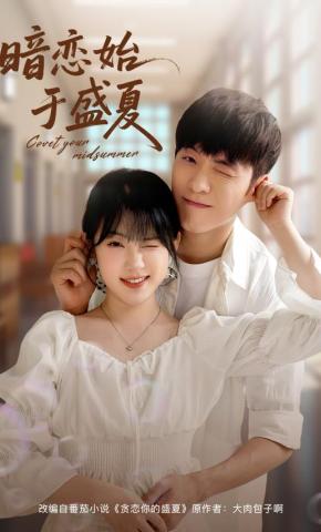 短剧《暗恋始于盛夏》海报