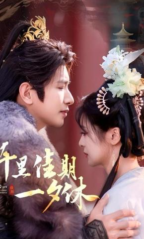 短剧千里佳期一夕休海报