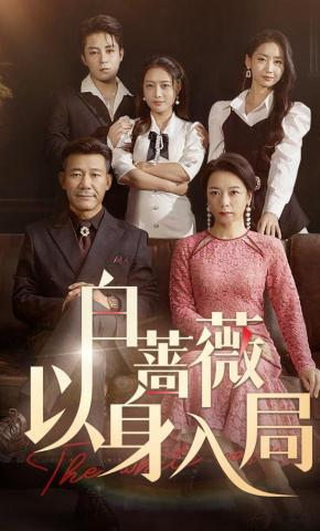 短剧《白蔷薇以身入局》海报