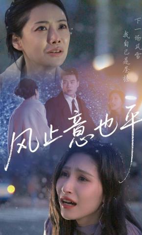 短剧《风止意也平》海报