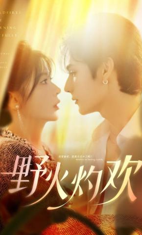 短剧《野火灼欢》海报