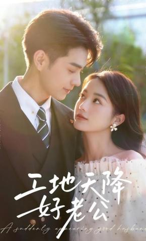 短剧工地天降好老公海报