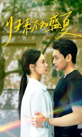 短剧《归来不知盛夏》海报