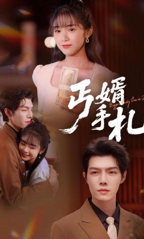 短剧丐婿手札海报