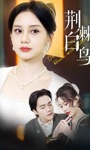 短剧《荆棘白鸟》海报