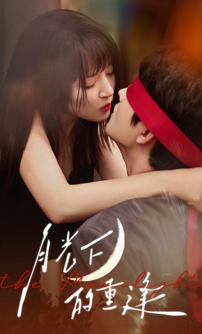 短剧《月光下的重逢》海报