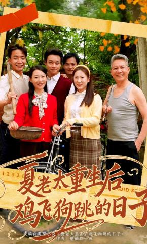 短剧《夏老太重生后鸡飞狗跳的日子》海报