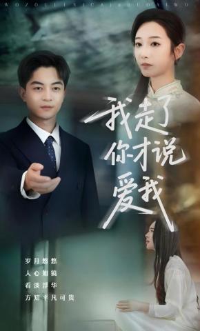 短剧《我走了你才说爱我》海报