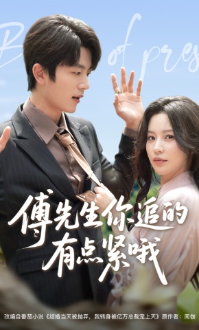 短剧傅先生你追的有点紧哦海报
