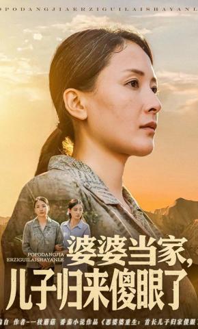 短剧《婆婆当家，儿子归来傻眼了》海报