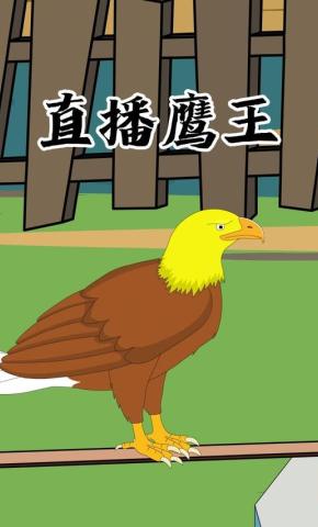 短剧《直播鹰王》海报