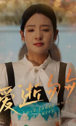 短剧爱逝匆匆海报