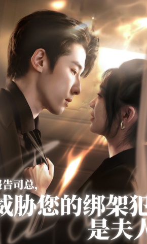 短剧《报告司总，威胁您的绑架犯是夫人》海报