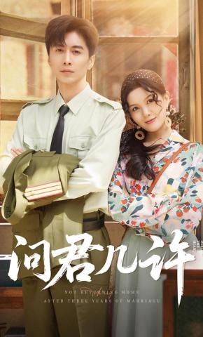 短剧《问君几许》海报