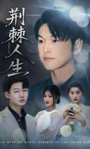 短剧《荆棘人生》海报