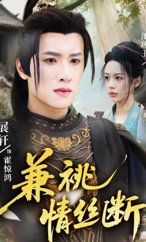 短剧《兼祧情丝断》海报