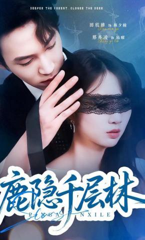 短剧《鹿隐千层林》海报