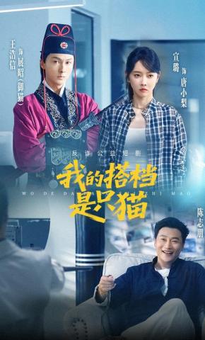 短剧《我的搭档是只猫》海报