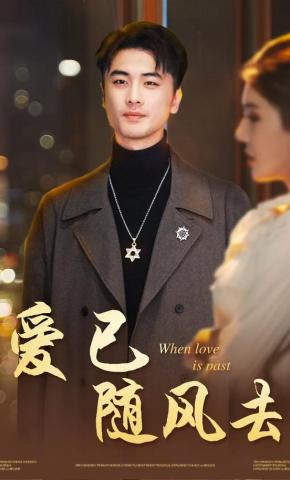 短剧《爱已随风去》海报