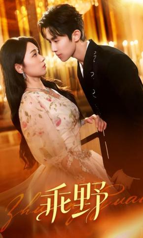 短剧《乖野》海报