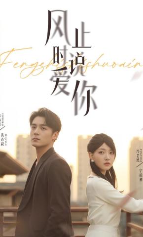 短剧《风止时说爱你》海报