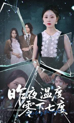 短剧昨夜温度零下七度海报