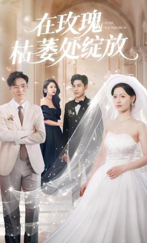 短剧在玫瑰枯萎处绽放海报