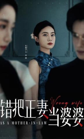 短剧《错把正妻当婆婆》海报