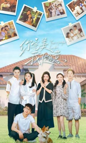 短剧《你完美我随意》海报