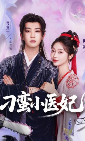 短剧刁蛮小医妃海报