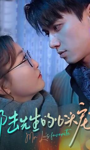 短剧《陆先生的心头宠》海报