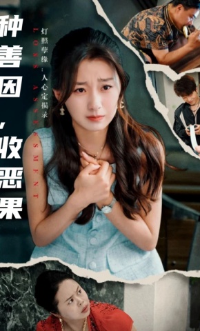 短剧《种善因，收恶果》海报