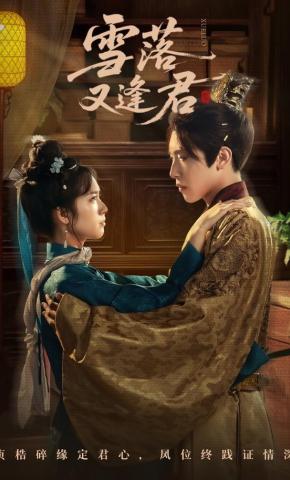 短剧《雪落又逢君》海报