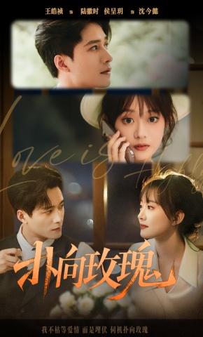 短剧《扑向玫瑰》海报