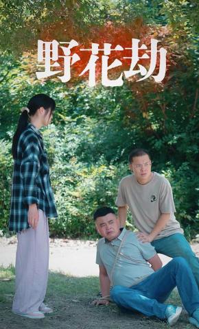 短剧《野花劫》海报