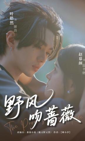 短剧《野风吻蔷薇》海报