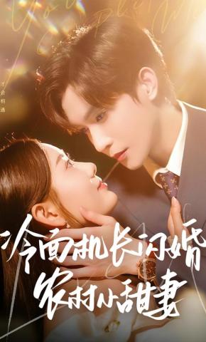 短剧《冷面机长闪婚农村小甜妻》海报