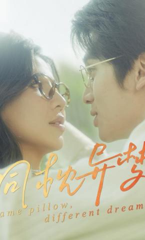 短剧《同枕异梦》海报