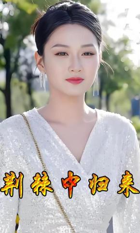 短剧荆棘中归来海报