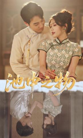 短剧《池中之物》海报