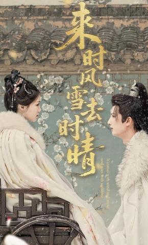 短剧《来时风雪去时晴》海报