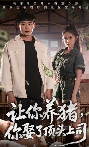 短剧《让你养猪，你娶了顶头上司》海报