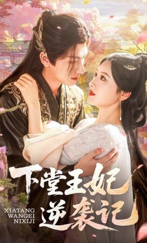 短剧《下堂王妃逆袭记》海报