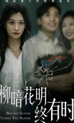 短剧《柳暗花明终有时》海报