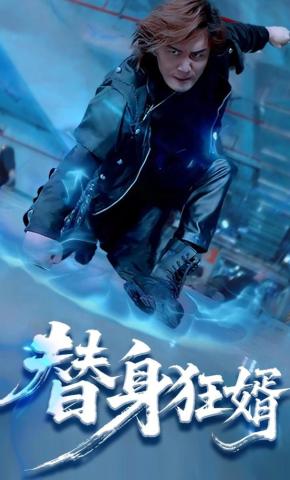 短剧替身狂婿海报